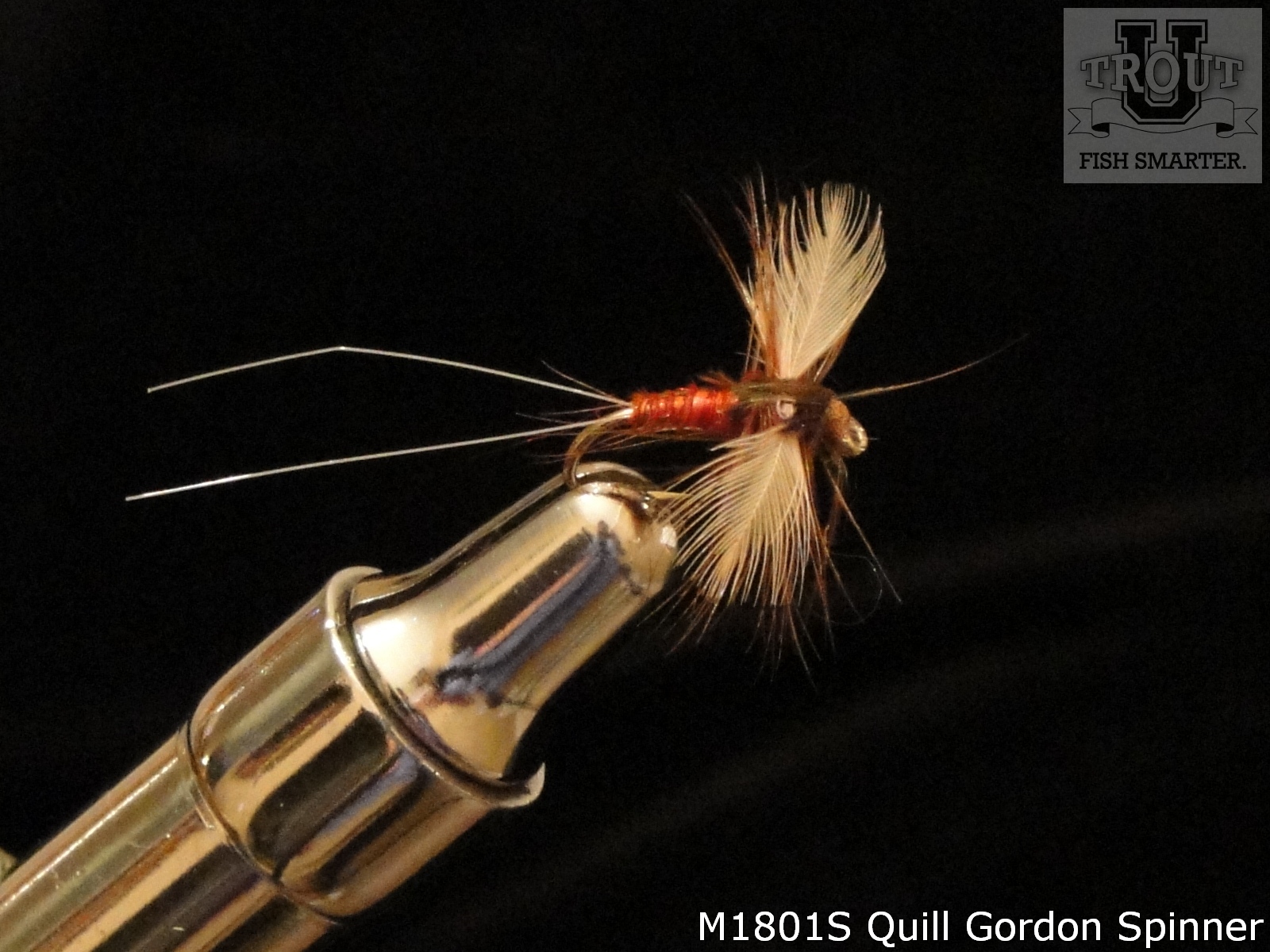  Quill Gordon  Spinner Trout Pro Store